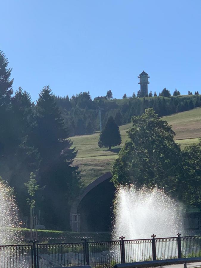 Heimweg Feldberg (Baden-Wurttemberg)