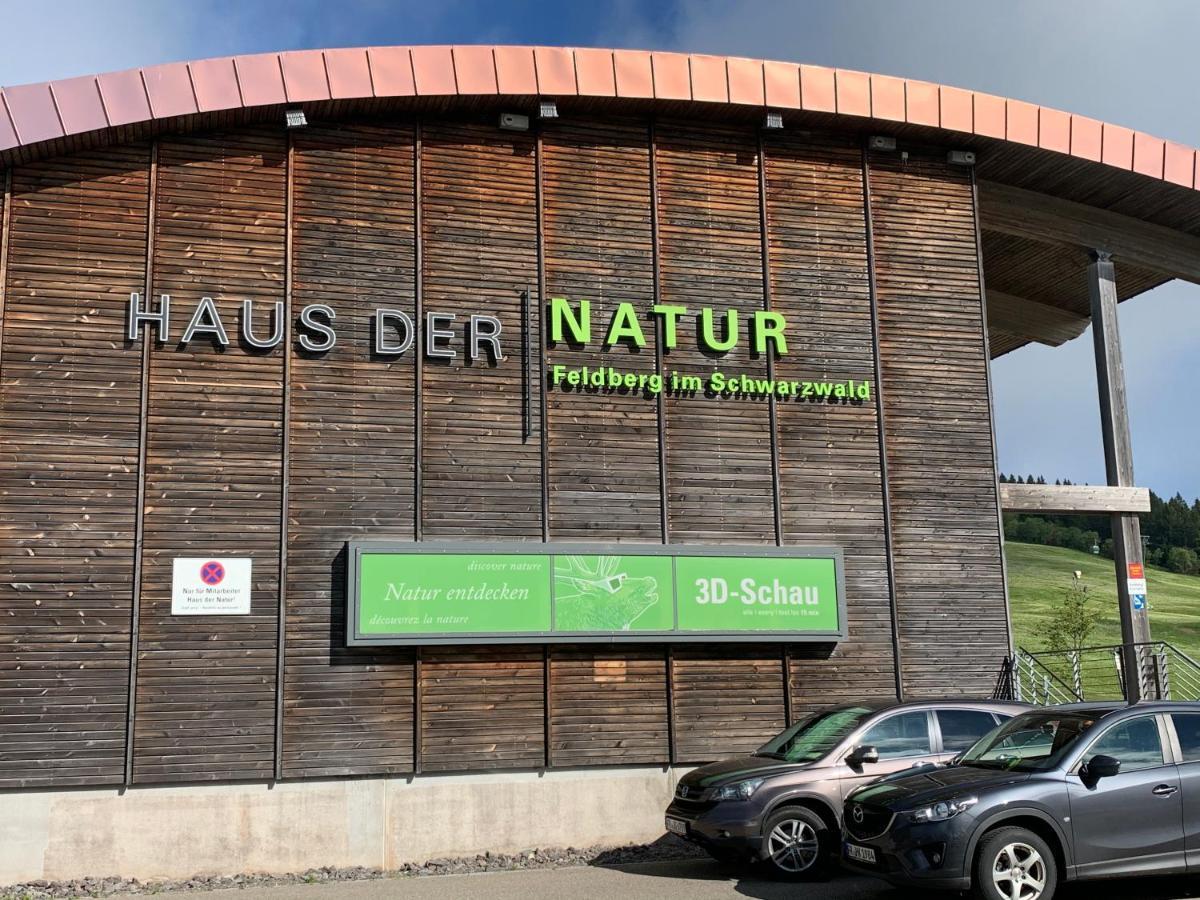Heimweg * Feldberg (Baden-Wurttemberg)