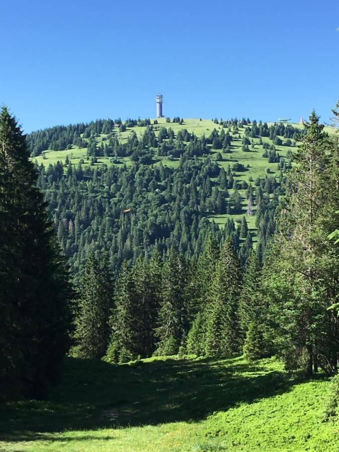 Apartment Heimweg Feldberg (Baden-Wurttemberg)