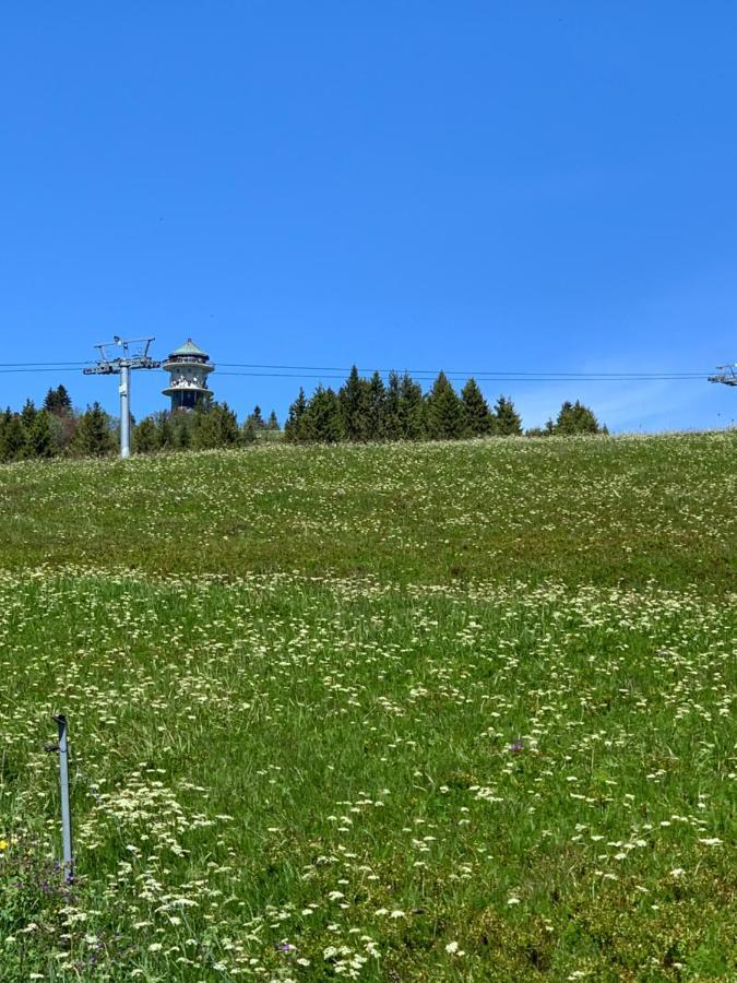 Heimweg Apartment Feldberg (Baden-Wurttemberg)