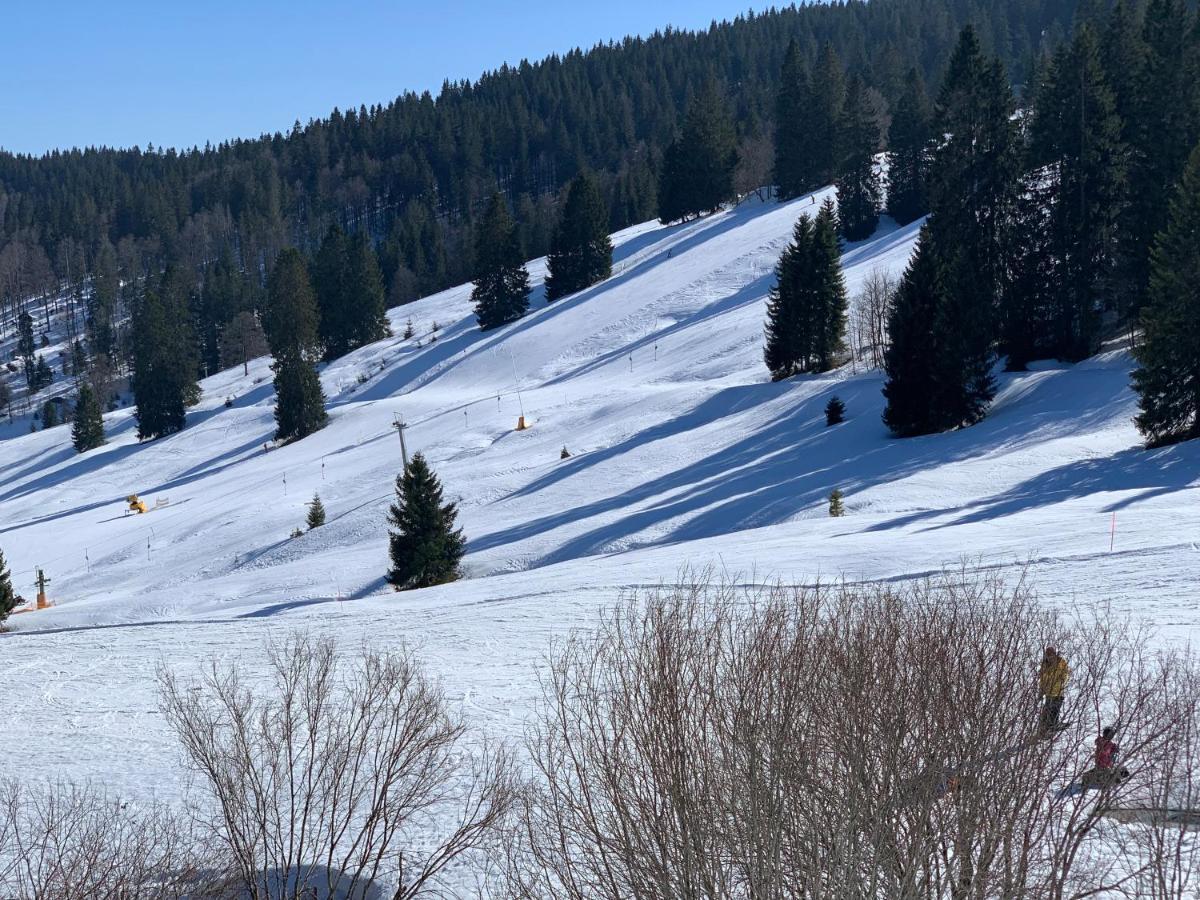 Heimweg * Feldberg (Baden-Wurttemberg)